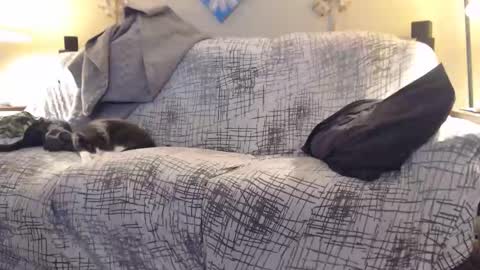 Snapshot of puff0169 chatting on 02-12-26, 07:25 puff0169 online show from 02-12-26, 07:25