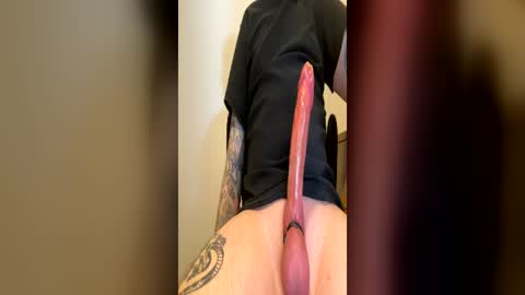 punkerboi182 online show from 06-24-26, 03:16