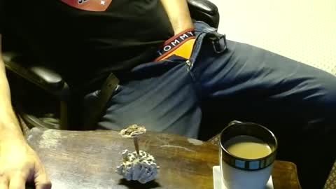 Snapshot of punkypapi chatting on 10-12-25, 12:31 Jojo online show from 10-12-25, 12:31