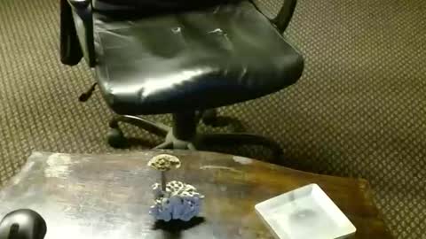 Snapshot of punkypapi chatting on 10-16-25, 09:27 Jojo online show from 10-16-25, 09:27