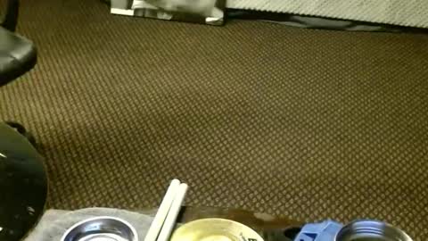 Snapshot of punkypapi chatting on 11-23-25, 06:46 Jojo online show from 11-23-25, 06:46