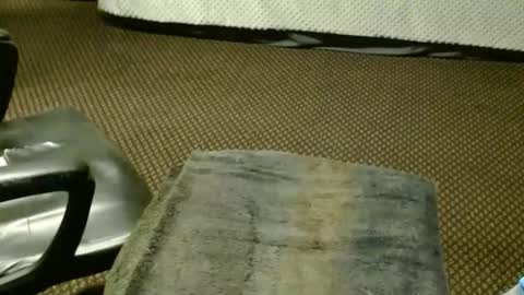 Snapshot of punkypapi chatting on 11-25-25, 08:42 Jojo online show from 11-25-25, 08:42