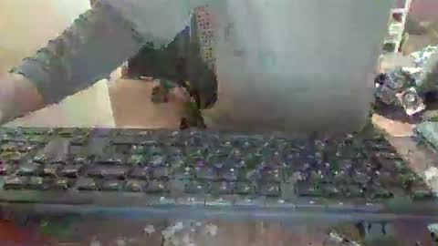 Snapshot of pup_y chatting on 12-14-25, 06:56 pup_y online show from 12-14-25, 06:56