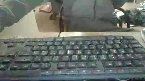 Snapshot of pup_y chatting on 12-17-25, 06:47 pup_y online show from 12-17-25, 06:47