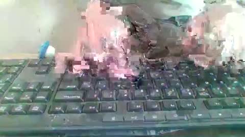 Snapshot of pup_y chatting on 01-09-26, 09:56 pup_y online show from 01-09-26, 09:56