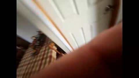 purdyguy7777 online show from 02-05-25, 05:53