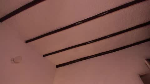 Snapshot of purple_opal chatting on 02-24-25, 10:14 Vero online from Tuesday to Sunday online show from 02-24-25, 10:14