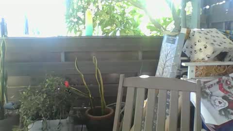 Snapshot of python974 chatting on 02-02-25, 04:05 Python online show from 02-02-25, 04:05