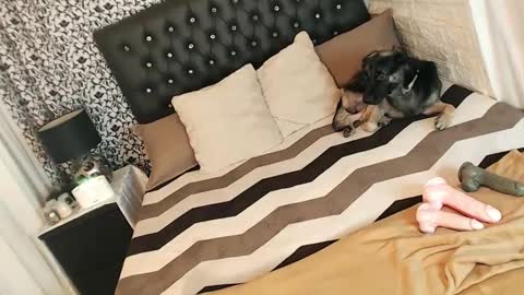 Yeng online show from 03-05-25, 03:29