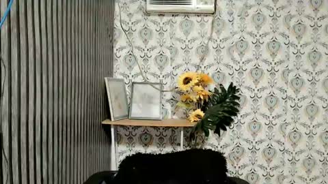 JOY online show from 02-20-25, 06:02