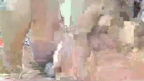 Queen Poppy online show from 07-24-26, 05:55