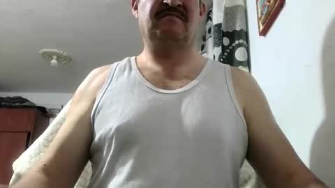 Snapshot of querubinrebelde chatting on 06-03-26, 01:08 Don Ramon online show from 06-03-26, 01:08