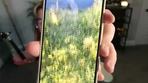 Bri online show from 11-17-25, 03:34