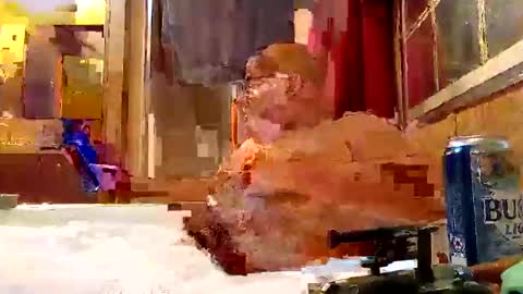 rabidsquirrell online show from 02-05-25, 12:53