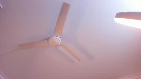 Rachel online show from 01-03-25, 11:14