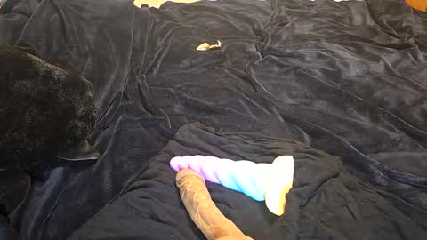 raerae02 online show from 05-06-26, 11:37