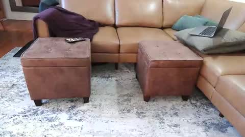 DressSock Shoe online show from 02-07-26, 02:59