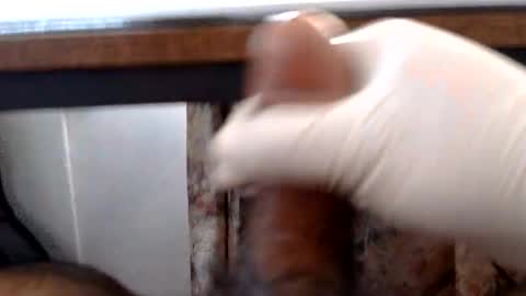 Snapshot of rafi1997 chatting on 05-04-26, 01:07 RAFi online show from 05-04-26, 01:07