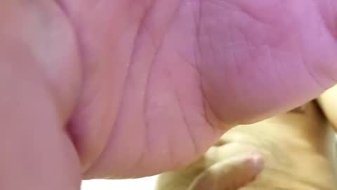 Snapshot of raidehot chatting on 10-21-25, 11:44 raidehot online show from 10-21-25, 11:44