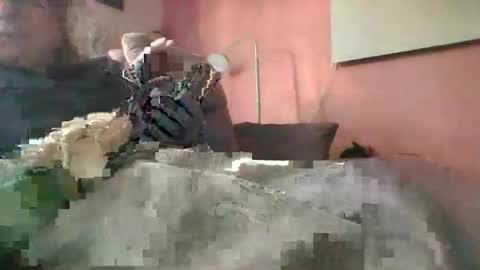 Snapshot of ramteichj chatting on 12-17-25, 08:42 ramteichj online show from 12-17-25, 08:42