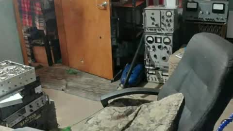 Snapshot of randalltotazz chatting on 07-15-26, 07:52 Randall online show from 07-15-26, 07:52