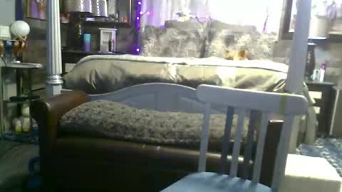 Randy8inbater online show from 05-22-26, 08:10