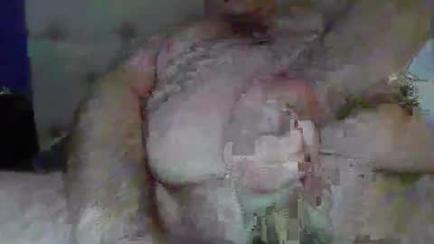 Snapshot of randythedingo chatting on 02-18-25, 04:37 randythedingo online show from 02-18-25, 04:37