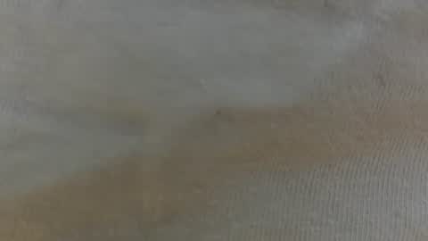 randytoy online show from 06-29-26, 05:03