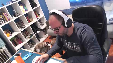 ravingr3d3 online show from 11-11-25, 09:20