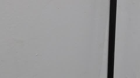 Ray  online show from 03-22-26, 10:40