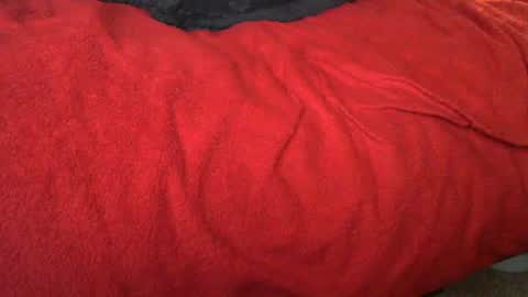 Snapshot of raymondo1964 chatting on 11-12-25, 11:47 raymondo1964 online show from 11-12-25, 11:47