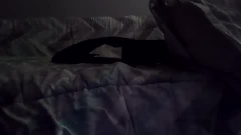 Snapshot of rcalty chatting on 11-10-25, 01:37 rcalty online show from 11-10-25, 01:37