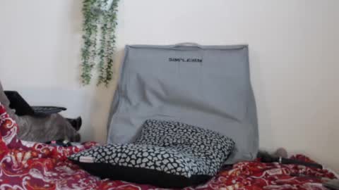 Snapshot of real_36_dd chatting on 02-24-25, 04:15 Fannie online show from 02-24-25, 04:15