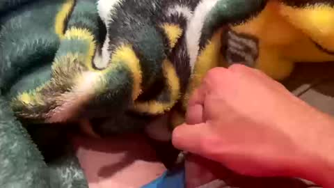 realbigload77 online show from 10-11-25, 02:55