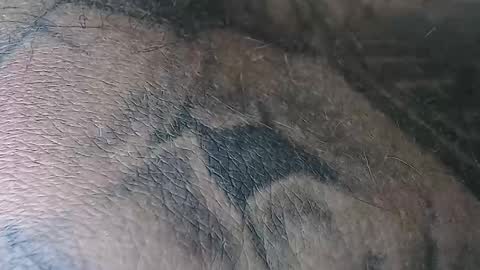 realrubpirate online show from 11-02-25, 06:38