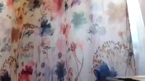 Snapshot of recka810 chatting on 02-20-25, 09:42 recka810 online show from 02-20-25, 09:42