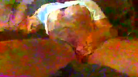 Snapshot of redtxchopper chatting on 11-18-25, 01:33 redtxchopper online show from 11-18-25, 01:33