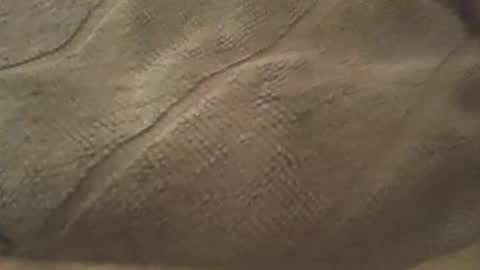 redwhiteblue_24 online show from 08-06-26, 08:33