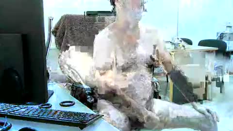 Snapshot of region4 chatting on 04-19-26, 06:10 region4 online show from 04-19-26, 06:10