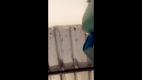 Snapshot of reinft chatting on 03-01-26, 10:06 reinft online show from 03-01-26, 10:06