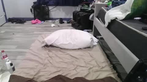 remshotdt online show from 02-24-25, 04:26