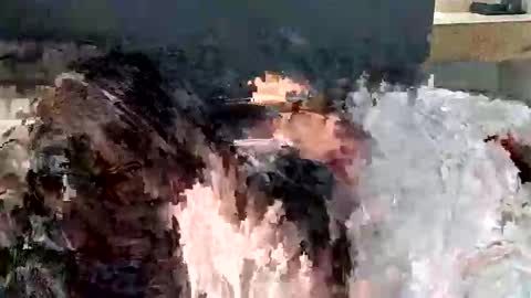 Snapshot of renaexx03 chatting on 09-28-25, 02:28 renaexx03 online show from 09-28-25, 02:28