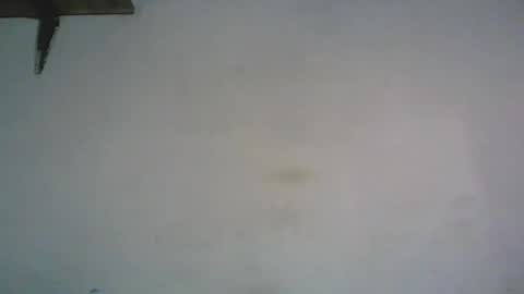 Snapshot of retlam37 chatting on 10-07-25, 04:09 Walter online show from 10-07-25, 04:09
