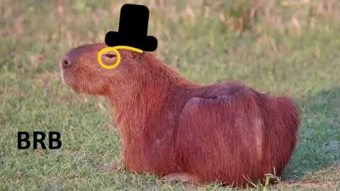 Snapshot of revivedunknown chatting on 11-15-25, 08:27 Chris online show from 11-15-25, 08:27