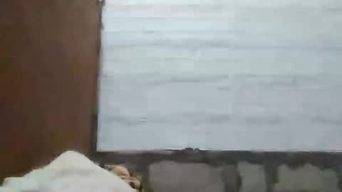 Snapshot of richebelle chatting on 05-10-26, 12:10 richebelle online show from 05-10-26, 12:10
