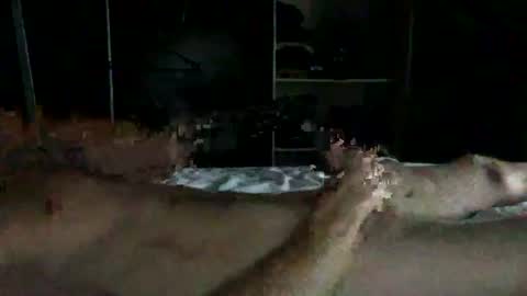 Rick online show from 08-02-26, 07:56