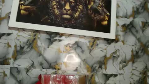 Snapshot of rigel_paxs chatting on 11-18-25, 06:34 rigel online show from 11-18-25, 06:34