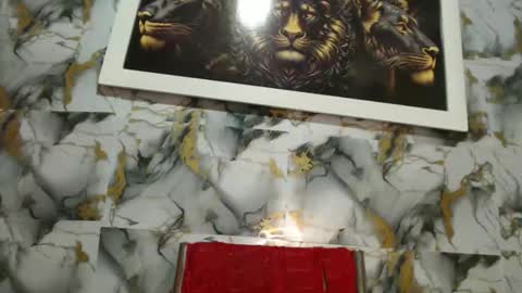 Snapshot of rigel_paxs chatting on 02-24-26, 06:28 rigel online show from 02-24-26, 06:28