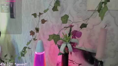 Snapshot of rileynymph chatting on 07-25-26, 03:15 My name is Riley Like my broadcast pls 3 online show from 07-25-26, 03:15