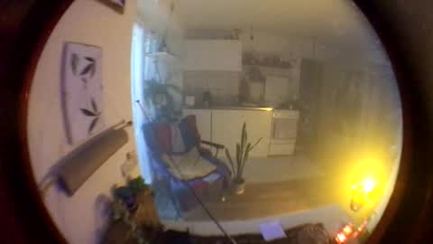 Snapshot of riod_rainforest_1983 chatting on 10-19-25, 04:18 Rotrigo online show from 10-19-25, 04:18